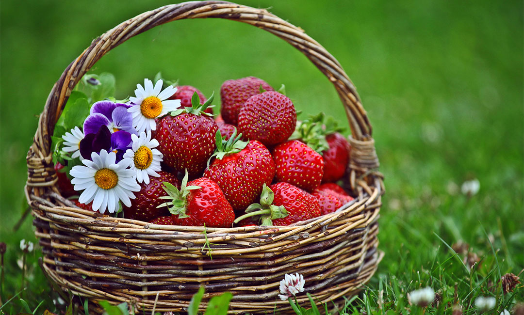 昭通点呀点水果电商APP开发案例